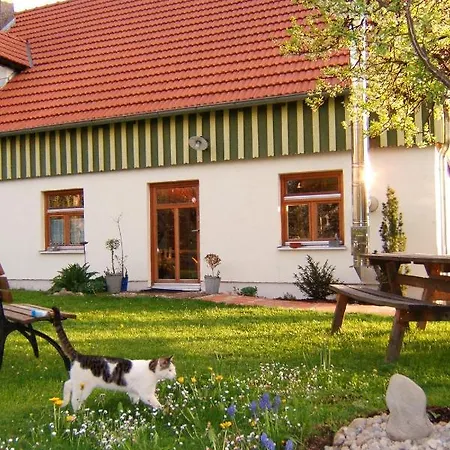Bio Kirschenfee