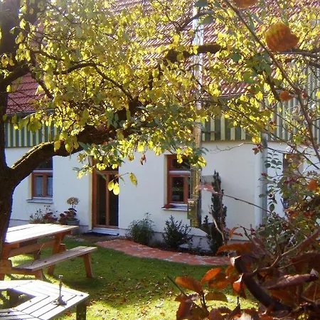 Bio Kirschenfee