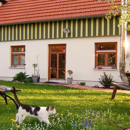 Gasthof Bio Kirschenfee