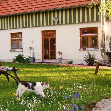 Bio Kirschenfee
